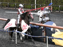 Medieval jousting knight on his horse