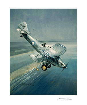 Hawker Demon - Aviation Art Print by Michael Turner