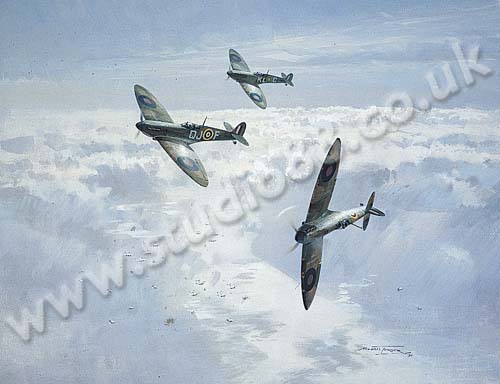 Spitfires in the Sunshine