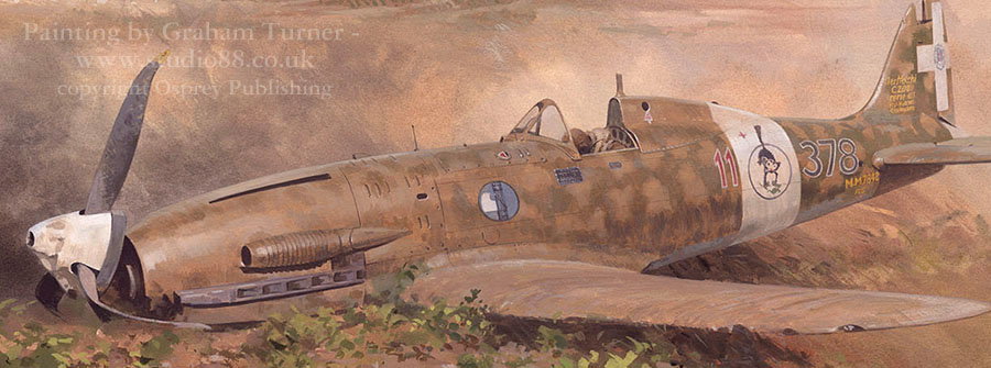 Detail from a painting by Graham Turner from Osprey book Battle of Malta 1940-42