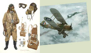 Second World War Aviation Art by Graham Turner - WW2 Paintings from Osprey RAF Fighter Pilot book