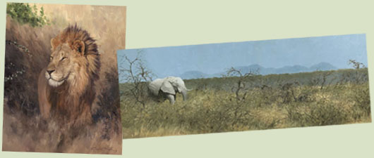 Original Wildlife Paintings by Graham Turner