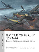 Battle of Berlin original paintings