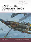 WW2 RAF Fighter Pilot painting