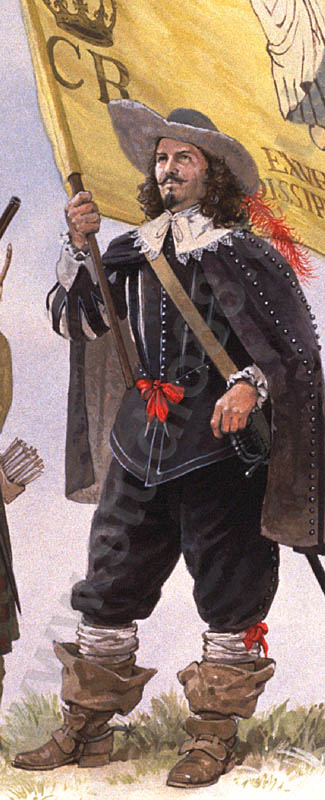 Irish Brigade, 1644-45 detail