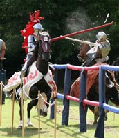 Graham Turner, the Jousting Artist