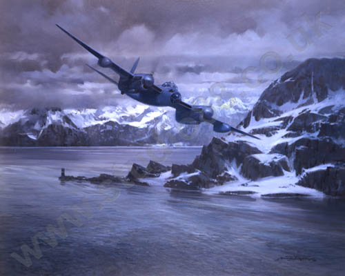Mosquito - 25