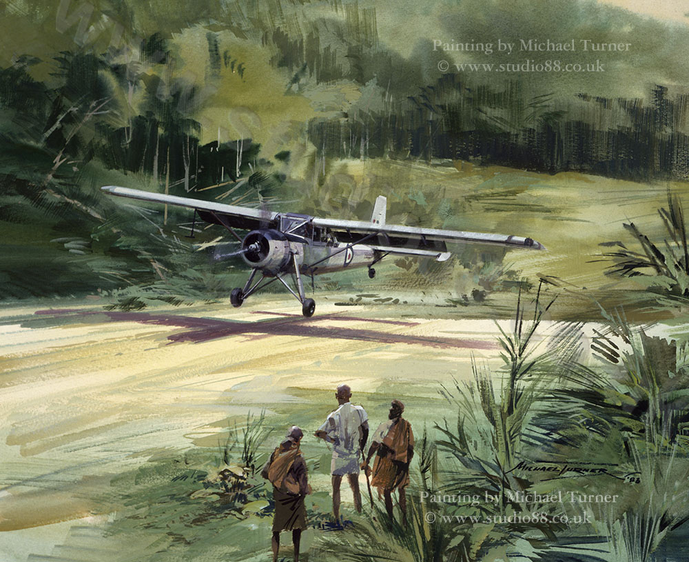 Jungle Visitor - Original Painting by Michael Turner