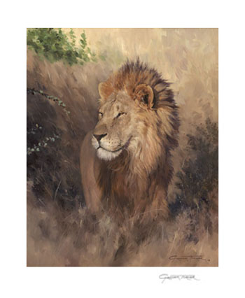 Gicle Print from Lion Painting by Graham Turner