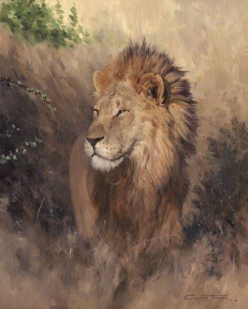 'King of the Etosha' - Oil Painting of a Lion by Graham Turner