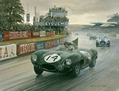 1954 Le Mans, Duncan Hamilton, Jaguar D-type - Motorsport Art Print by Graham Turner