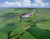 Halton Local, DH Chipmunk - Aviation Art Print by Michael Turner