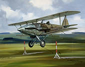 Hawker Audax - Aviation Art Print by Michael Turner