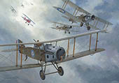 Original Painting by Graham Turner GAvA of Bristol F2A