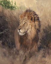 Wildlife Paintings by Graham Turner