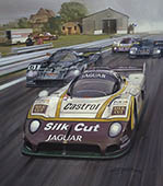 Brundle, Cheever, Jaguar XJR, 1988 Silverstone 1000kms - Original Painting by Michael Turner