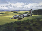 Fast and Low - Harrier GR3 original aviation painting by Michael Turner