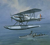 Fleet Spotter - original aviation painting of Hawker Osprey by Michael Turner