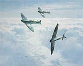 Spitfires in the Sunshine